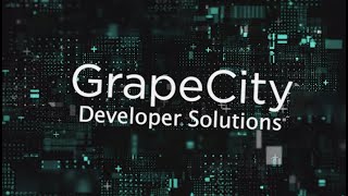 GrapeCity: Product Overview 2021