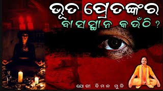 ଭୂତ ପ୍ରେତଙ୍କର ବାସସ୍ଥାନ କେଉଁଠି ? // By Yogi Bimal Muni #munisamaj #odia #prabachan