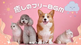 【フリーBGM】癒されたいあなたに…癒しのフリーBGMをお届けします♪