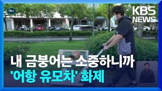 [글로벌K] 금붕어도 산책이 필요해…전용 이동수단까지 / KBS  2022.05.26.