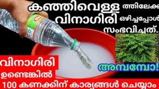 തണുത്ത കഞ്ഞിവെള്ളത്തിലേക്ക് വിനാഗിരി ഒഴിച്ചപ്പോൾ 😱😱#magic tips#malayalam#ammoosanoos#krishimalayalam