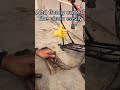 how🤔to cut bicycle chain at home easily💯 shorts cycle music video