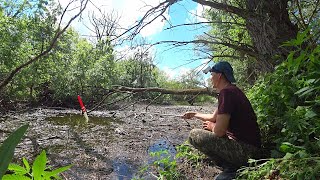 РЕКА ЗАБИТА РЫБОЙ. В РЕАЛЬНЫХ ДЕБРЯХ НА БАМБУК, КАК В ДЕТСТВЕ. Рыбалка на поплавочную удочку.