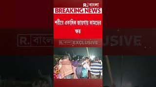 মৈপীঠে বাঘে মানুষে লড়াই। বাঘের হামলায় গুরুতর জখম বনকর্মী