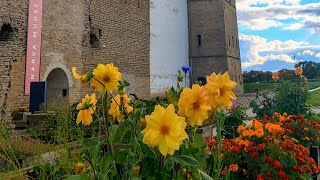 Inspiration of Narva: Where History Meets Nature