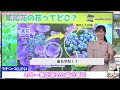 【大島璃音】喜田イズムを継承するべく奮闘するもまだまだ視聴者頼みなお天気お姉さん