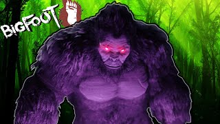 I HUNT FOR BIGFOOT!