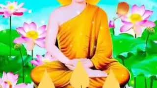 ပရိမိတ္တဇာလသုတ် ဒေါက်တာအရှင်ပညိန္ဒ