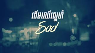 ដើមឈើស្នេហ៍​ Derm Cher Sne Bros Mao Composer Cover HD