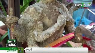 รวมส่องเลขเด็ดทั่วไทย | 31-07-61 | ไทยรัฐนิวส์โชว์