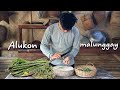 Harvesting Himbabao and horseradish fruit PAKBET ilocano dish | alukon ,malunggay | Kabagis new vlog