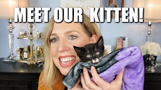 Q & A - YOUR QUESTIONS ANSWERED | WE GOT A KITTEN!