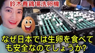 なぜ日本では生卵を食べても安全なのでしょうか？Why is it safe to eat raw eggs in Japan? #japanesefood #reaction #raweggs