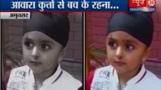 Amritsar : Three year old mauled to death by stray dogs