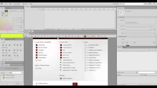 Flash CS6 workspace