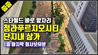 청라국제도시역 푸르지오시티 단지내 상가 회사보유분 1층 분양