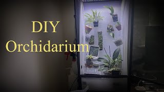 Setting up a Terrarium to Grow Miniature Orchids (DIY Orchidarium)