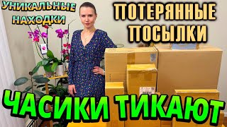 А ЧАСИКИ ТИКАЮТ В ПОТЕРЯННЫХ ПОСЫЛКАХ / УНИКАЛЬНЫЕ НАХОДКИ  / МНОГО НЕОБЫЧНОГО В ПОТЕРЯННЫХ КОРОБКАХ