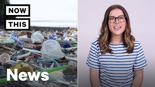 Plastic Pollution is Causing Problems in Our Oceans | NowThis
