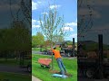 Autumn Blaze Maple Tree Planting in Spring