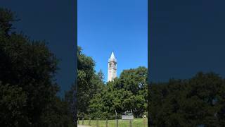 A Love Letter to UC Berkeley Campus #ucberkeley #cal #berkeley #collegecampus