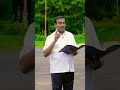 பயப்படாதே இதுவரை நடத்தினவர் இனியும் உன்னை நடத்துவார் mohan dailybibleverse walkwithjesus