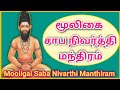 Mooligai Saba Nivarthi Manthiram | மூலிகை சாப நிவர்த்தி மந்திரம்|Manthrigam|Siddhar|Siththar|சித்தர்