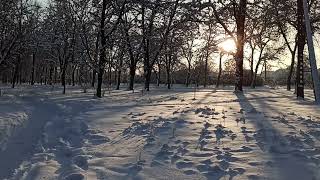 Нас засыпало снегом ❄️🌬️✨