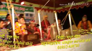 পেঠান শাহ্ বাঘর পিড়ত উড়ি। petan sha bagor। singer mridul shil। vandhari song 2018।