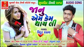 Vidur Rathva New Timli 2019 || janu em kem thay || વિદુર રાઠવા ટીમલી || Timli audio