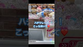 ハチワレに振り向いてほしい！#ufoキャッチャー #クレーンゲーム #cranegame #ちいかわ #clawmachine #3本爪 #ハチワレ