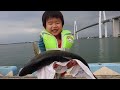 デカブツ マルタウグイが釣れた瞬間・初心者の釣り@富山湾 i got a big fish in toyama bay japan