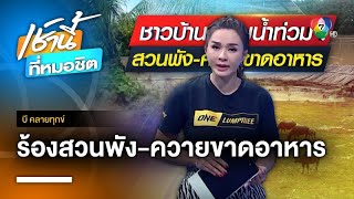 ชาวบ้านร้อง ! น้ำท่วมนาน 3 เดือน วัว-ควาย ขาดแคลนอาหาร | บี คลายทุกข์