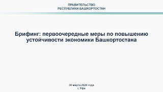 Брифинг: первоочередные меры по повышению устойчивости экономики Башкортостана