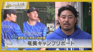 横浜DeNAベイスターズ 若手とベテランのB班・奄美大島キャンプリポート【News Linkオンライン】