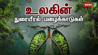 உலகின் நுரையீரல் மழைக்காடுகள்..! | RAINFOREST | FOREST | NEWSJ