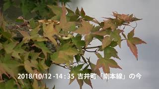 うきはかいねっと　道の駅観光案内所より吉井町の「南本線」の今を紹介です。　2018/10/12