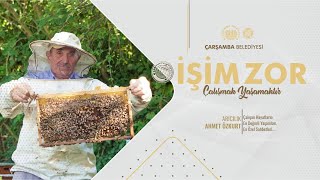 İŞİM ZOR: ÇALIŞMAK YAŞAMAKTIR | ARICILIK