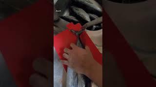 Cutting tuna fish tail #shorts #cutting #tunafish #asmr #satisfyingvideo #viralvideo #inoued