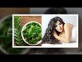 சர்க்கரை நோய் தடுக்கும் கருவேப்பிலை health benefits of curry leaves diabetes dr k sivaraman