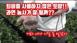 쏘맨드만 사용한 토양(토경) 재배 농장!! 과연 농사가 될까?? 정말 퇴비는 필수적으로 사용해야 하는 것 인가??? 토양검사의 중요성!!