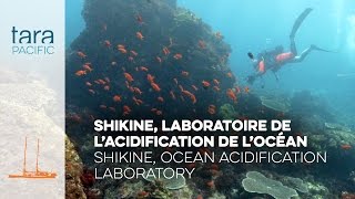 [Tara Pacific] Shikine, laboratoire de l'acidification de l'Océan // Ocean acidification laboratory