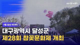 달성군, 제28회 비슬산 참꽃문화제 개최ㅣ8시 달성 NEWS 2024년 04월 12일