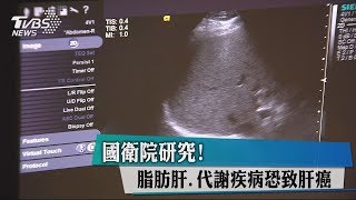 國衛院研究！脂肪肝、代謝疾病恐致肝癌