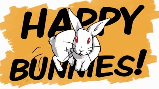 7 Signs Your Rabbit is Happy