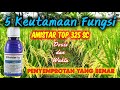 5 KEUTAMAAN FUNGSI AMISTARTOP 325 SC UNTUK TANAMAN PADI MASA BUNTING