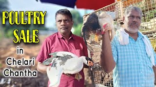 ചേളാരി ചന്തയിലെ കോഴികച്ചോടം💥🎥 #jeevithamargam #poultryprice #poultrymarket