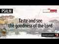 PSALM | Taste and See the Goodness of the Lord (Ps34)