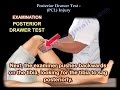 Posterior Drawer Test,  PCL Injury - Everything You Need To Know - Dr. Nabil Ebraheim