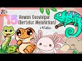 15 Nama Hewan Lucu Ovovivipar | Hewan yang berkembang biak dengan cara bertelur dan melahirkan